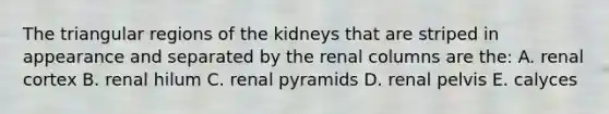 The triangular regions of the kidneys that are striped in appearance and separated by the renal columns are the: A. renal cortex B. renal hilum C. renal pyramids D. renal pelvis E. calyces