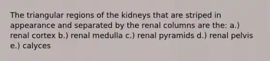 The triangular regions of the kidneys that are striped in appearance and separated by the renal columns are the: a.) renal cortex b.) renal medulla c.) renal pyramids d.) renal pelvis e.) calyces