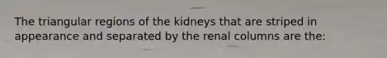 The triangular regions of the kidneys that are striped in appearance and separated by the renal columns are the: