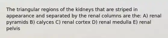 The triangular regions of the kidneys that are striped in appearance and separated by the renal columns are the: A) renal pyramids B) calyces C) renal cortex D) renal medulla E) renal pelvis