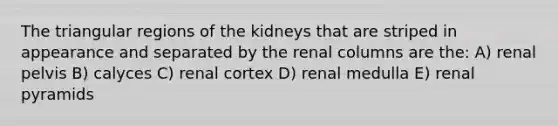 The triangular regions of the kidneys that are striped in appearance and separated by the renal columns are the: A) renal pelvis B) calyces C) renal cortex D) renal medulla E) renal pyramids