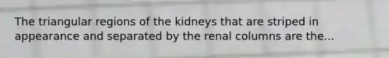 The triangular regions of the kidneys that are striped in appearance and separated by the renal columns are the...