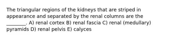 The triangular regions of the kidneys that are striped in appearance and separated by the renal columns are the ________. A) renal cortex B) renal fascia C) renal (medullary) pyramids D) renal pelvis E) calyces