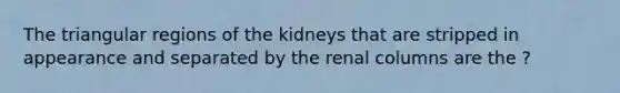 The triangular regions of the kidneys that are stripped in appearance and separated by the renal columns are the ?