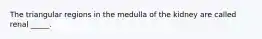 The triangular regions in the medulla of the kidney are called renal _____.