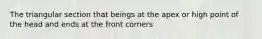 The triangular section that beings at the apex or high point of the head and ends at the front corners