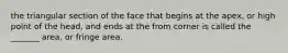 the triangular section of the face that begins at the apex, or high point of the head, and ends at the from corner is called the _______ area, or fringe area.