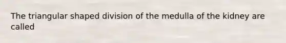 The triangular shaped division of the medulla of the kidney are called