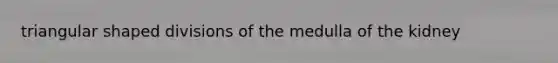 triangular shaped divisions of the medulla of the kidney