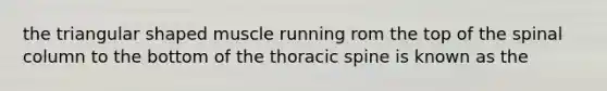 the triangular shaped muscle running rom the top of the spinal column to the bottom of the thoracic spine is known as the