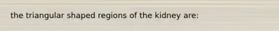 the triangular shaped regions of the kidney are: