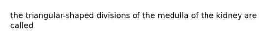 the triangular-shaped divisions of the medulla of the kidney are called