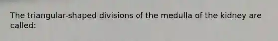 The triangular-shaped divisions of the medulla of the kidney are called: