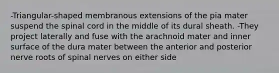 -Triangular-shaped membranous extensions of the pia mater suspend the spinal cord in the middle of its dural sheath. -They project laterally and fuse with the arachnoid mater and inner surface of the dura mater between the anterior and posterior nerve roots of spinal nerves on either side