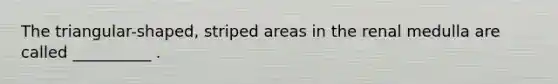 The triangular-shaped, striped areas in the renal medulla are called __________ .