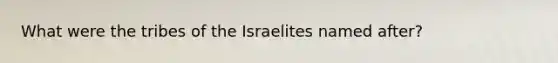 What were the tribes of the Israelites named after?