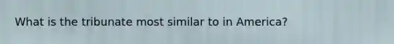 What is the tribunate most similar to in America?