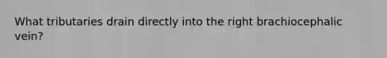 What tributaries drain directly into the right brachiocephalic vein?