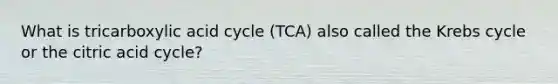 What is tricarboxylic acid cycle (TCA) also called the Krebs cycle or the citric acid cycle?