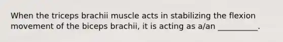 When the triceps brachii muscle acts in stabilizing the flexion movement of the biceps brachii, it is acting as a/an __________.