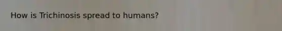 How is Trichinosis spread to humans?