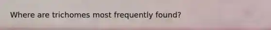 Where are trichomes most frequently found?