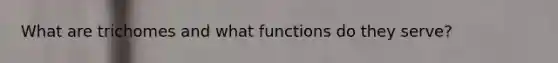 What are trichomes and what functions do they serve?