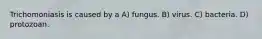 Trichomoniasis is caused by a A) fungus. B) virus. C) bacteria. D) protozoan.