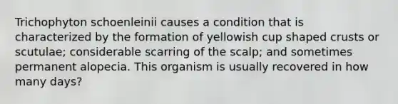 Trichophyton schoenleinii causes a condition that is characterized by the formation of yellowish cup shaped crusts or scutulae; considerable scarring of the scalp; and sometimes permanent alopecia. This organism is usually recovered in how many days?