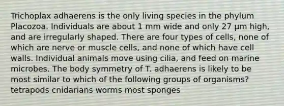 Trichoplax adhaerens is the only living species in the phylum Placozoa. Individuals are about 1 mm wide and only 27 μm high, and are irregularly shaped. There are four types of cells, none of which are nerve or muscle cells, and none of which have cell walls. Individual animals move using cilia, and feed on marine microbes. The body symmetry of T. adhaerens is likely to be most similar to which of the following groups of organisms? tetrapods cnidarians worms most sponges