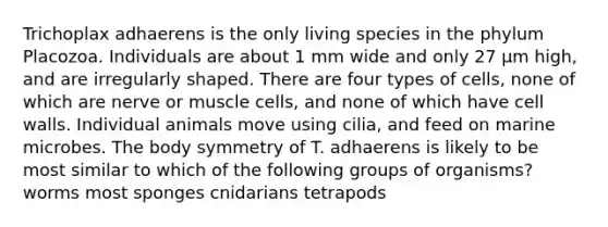 Trichoplax adhaerens is the only living species in the phylum Placozoa. Individuals are about 1 mm wide and only 27 μm high, and are irregularly shaped. There are four types of cells, none of which are nerve or muscle cells, and none of which have cell walls. Individual animals move using cilia, and feed on marine microbes. The body symmetry of T. adhaerens is likely to be most similar to which of the following groups of organisms? worms most sponges cnidarians tetrapods