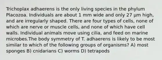 Trichoplax adhaerens is the only living species in the phylum Placozoa. Individuals are about 1 mm wide and only 27 μm high, and are irregularly shaped. There are four types of cells, none of which are nerve or muscle cells, and none of which have cell walls. Individual animals move using cilia, and feed on marine microbes.The body symmetry of T. adhaerens is likely to be most similar to which of the following groups of organisms? A) most sponges B) cnidarians C) worms D) tetrapods