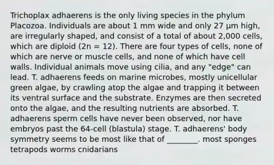 Trichoplax adhaerens is the only living species in the phylum Placozoa. Individuals are about 1 mm wide and only 27 μm high, are irregularly shaped, and consist of a total of about 2,000 cells, which are diploid (2n = 12). There are four types of cells, none of which are nerve or muscle cells, and none of which have cell walls. Individual animals move using cilia, and any "edge" can lead. T. adhaerens feeds on marine microbes, mostly unicellular green algae, by crawling atop the algae and trapping it between its ventral surface and the substrate. Enzymes are then secreted onto the algae, and the resulting nutrients are absorbed. T. adhaerens sperm cells have never been observed, nor have embryos past the 64-cell (blastula) stage. T. adhaerens' body symmetry seems to be most like that of ________. most sponges tetrapods worms cnidarians