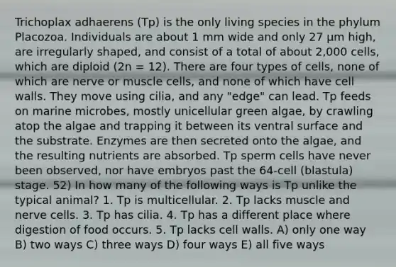 Trichoplax adhaerens (Tp) is the only living species in the phylum Placozoa. Individuals are about 1 mm wide and only 27 μm high, are irregularly shaped, and consist of a total of about 2,000 cells, which are diploid (2n = 12). There are four types of cells, none of which are nerve or muscle cells, and none of which have cell walls. They move using cilia, and any "edge" can lead. Tp feeds on marine microbes, mostly unicellular green algae, by crawling atop the algae and trapping it between its ventral surface and the substrate. Enzymes are then secreted onto the algae, and the resulting nutrients are absorbed. Tp sperm cells have never been observed, nor have embryos past the 64-cell (blastula) stage. 52) In how many of the following ways is Tp unlike the typical animal? 1. Tp is multicellular. 2. Tp lacks muscle and nerve cells. 3. Tp has cilia. 4. Tp has a different place where digestion of food occurs. 5. Tp lacks cell walls. A) only one way B) two ways C) three ways D) four ways E) all five ways