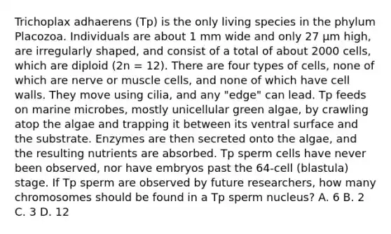 Trichoplax adhaerens (Tp) is the only living species in the phylum Placozoa. Individuals are about 1 mm wide and only 27 μm high, are irregularly shaped, and consist of a total of about 2000 cells, which are diploid (2n = 12). There are four types of cells, none of which are nerve or muscle cells, and none of which have cell walls. They move using cilia, and any "edge" can lead. Tp feeds on marine microbes, mostly unicellular green algae, by crawling atop the algae and trapping it between its ventral surface and the substrate. Enzymes are then secreted onto the algae, and the resulting nutrients are absorbed. Tp sperm cells have never been observed, nor have embryos past the 64-cell (blastula) stage. If Tp sperm are observed by future researchers, how many chromosomes should be found in a Tp sperm nucleus? A. 6 B. 2 C. 3 D. 12