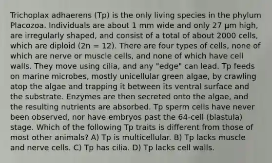 Trichoplax adhaerens (Tp) is the only living species in the phylum Placozoa. Individuals are about 1 mm wide and only 27 μm high, are irregularly shaped, and consist of a total of about 2000 cells, which are diploid (2n = 12). There are four types of cells, none of which are nerve or muscle cells, and none of which have cell walls. They move using cilia, and any "edge" can lead. Tp feeds on marine microbes, mostly unicellular green algae, by crawling atop the algae and trapping it between its ventral surface and the substrate. Enzymes are then secreted onto the algae, and the resulting nutrients are absorbed. Tp sperm cells have never been observed, nor have embryos past the 64-cell (blastula) stage. Which of the following Tp traits is different from those of most other animals? A) Tp is multicellular. B) Tp lacks muscle and nerve cells. C) Tp has cilia. D) Tp lacks cell walls.