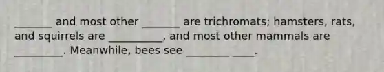 _______ and most other _______ are trichromats; hamsters, rats, and squirrels are __________, and most other mammals are _________. Meanwhile, bees see ________ ____.