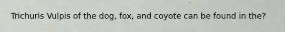 Trichuris Vulpis of the dog, fox, and coyote can be found in the?