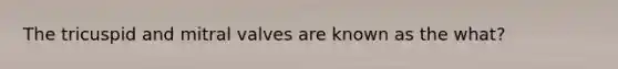 The tricuspid and mitral valves are known as the what?