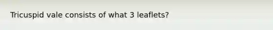 Tricuspid vale consists of what 3 leaflets?