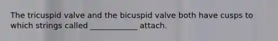 The tricuspid valve and the bicuspid valve both have cusps to which strings called ____________ attach.