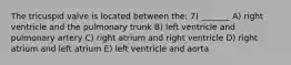 The tricuspid valve is located between the: 7) _______ A) right ventricle and the pulmonary trunk B) left ventricle and pulmonary artery C) right atrium and right ventricle D) right atrium and left atrium E) left ventricle and aorta