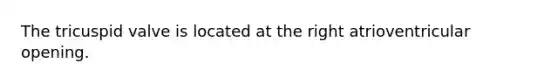 The tricuspid valve is located at the right atrioventricular opening.