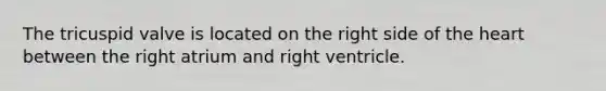 The tricuspid valve is located on the right side of the heart between the right atrium and right ventricle.