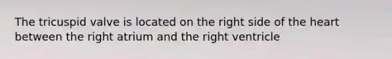 The tricuspid valve is located on the right side of <a href='https://www.questionai.com/knowledge/kya8ocqc6o-the-heart' class='anchor-knowledge'>the heart</a> between the right atrium and the right ventricle