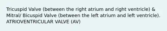 Tricuspid Valve (between the right atrium and right ventricle) & Mitral/ Bicuspid Valve (between the left atrium and left ventricle). ATRIOVENTRICULAR VALVE (AV)