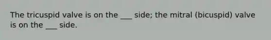 The tricuspid valve is on the ___ side; the mitral (bicuspid) valve is on the ___ side.