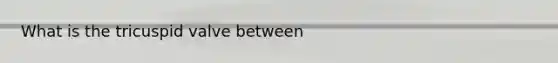 What is the tricuspid valve between