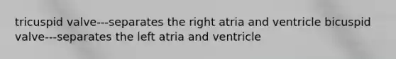 tricuspid valve---separates the right atria and ventricle bicuspid valve---separates the left atria and ventricle