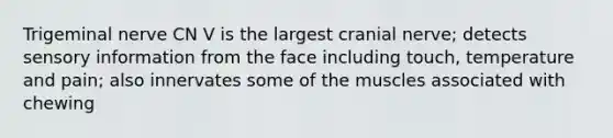 Trigeminal nerve CN V is the largest cranial nerve; detects sensory information from the face including touch, temperature and pain; also innervates some of the muscles associated with chewing